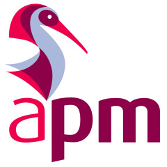 APMProjectManagement