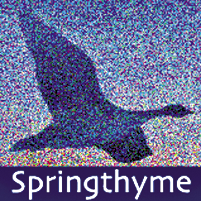 springthyme podcast artwork