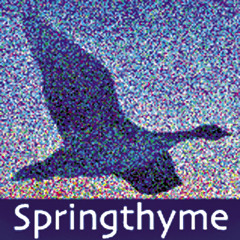 springthyme
