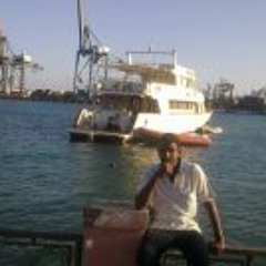 Omer Elshreef