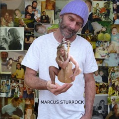 Marcus Sturrock