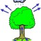 Aforest