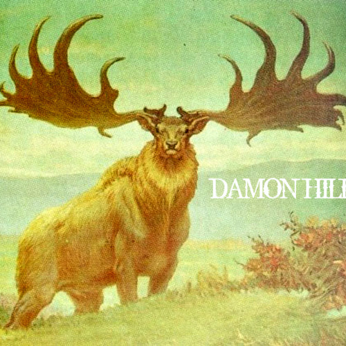 Damon Hill’s avatar