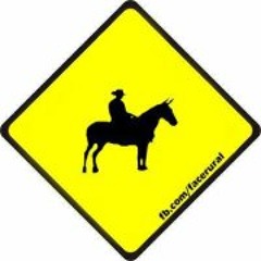 André Rocha Marcola