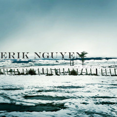 ErikNgy