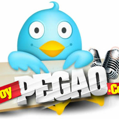 toypegao