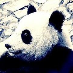 WangWangPanda