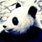 WangWangPanda