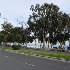 Vladimiros