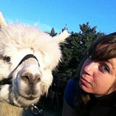 Chantelle R. Edwards