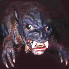 Spurcus Fera