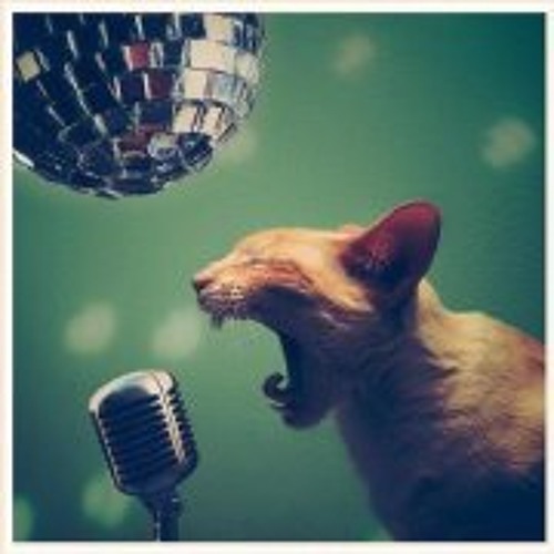 D Sigual - Back Order (Original Version)