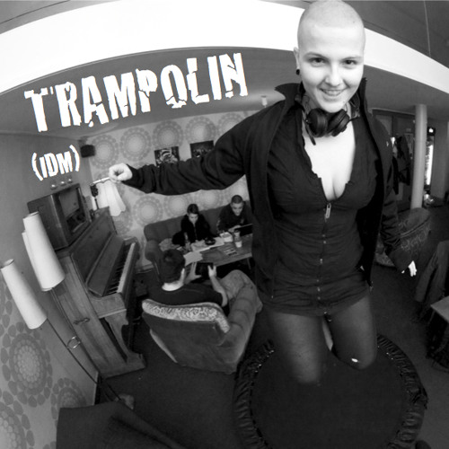 SoundCloud profile picture for @trampolin