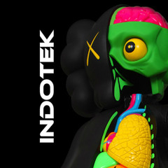 INDOTEK