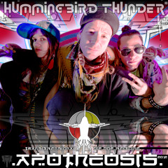 hummingbirdthunder