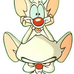 PinkyandtheBrainrockon