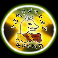 Barbas Temixtown Sound