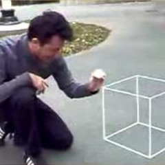 2dcube