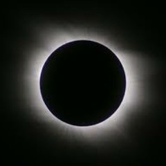 This is Really Happening