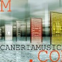 Meloflow Promociones NC