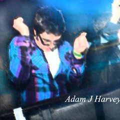 Adam J Harvey