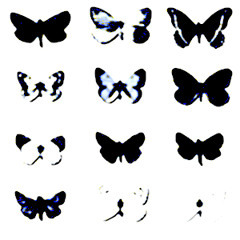 LasMariposasEstánMuertas