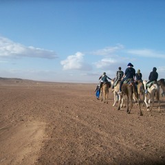 Cameron McKinley(Current)