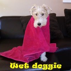 Wet-doggie_style