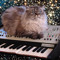 TechCat