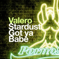 Valero -  Your House Is Mine (Sanya Shelest Remix)