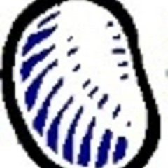 black_beans