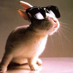 Download Stream Cool Bunny Music Listen To Songs Albums Playlists For Free On Soundcloud