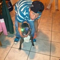 Logan HoodStar Roper