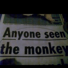 MonkeyBoy1