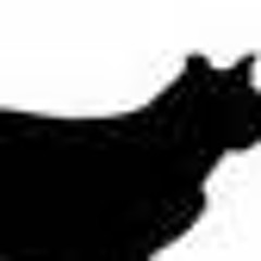 christian giannobile