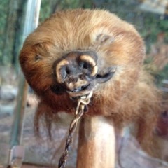 h.charlton@live.co.uk