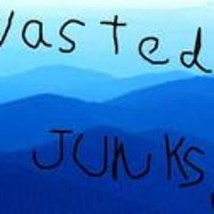 Wasted junks