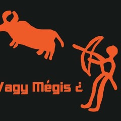 vagymegis