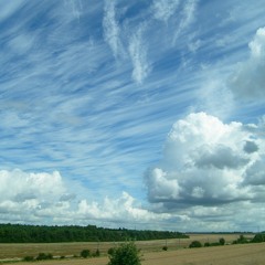 Clouds And Shining Trees