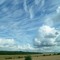 Clouds And Shining Trees