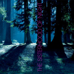The Sisterhood of Night