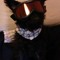 togster2