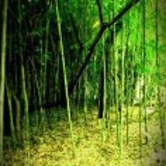 Bamboo Chan