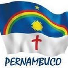 Marcelo Arruda de Araujo