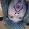 samay.andre