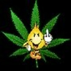 GF13LD420