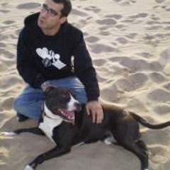 Bruno Rosa 1