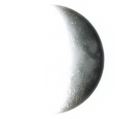 thecowjumpedoverthemoon