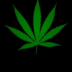 Mr.kush