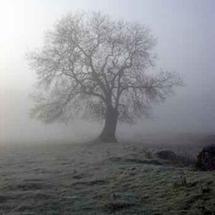 The Mist Tree